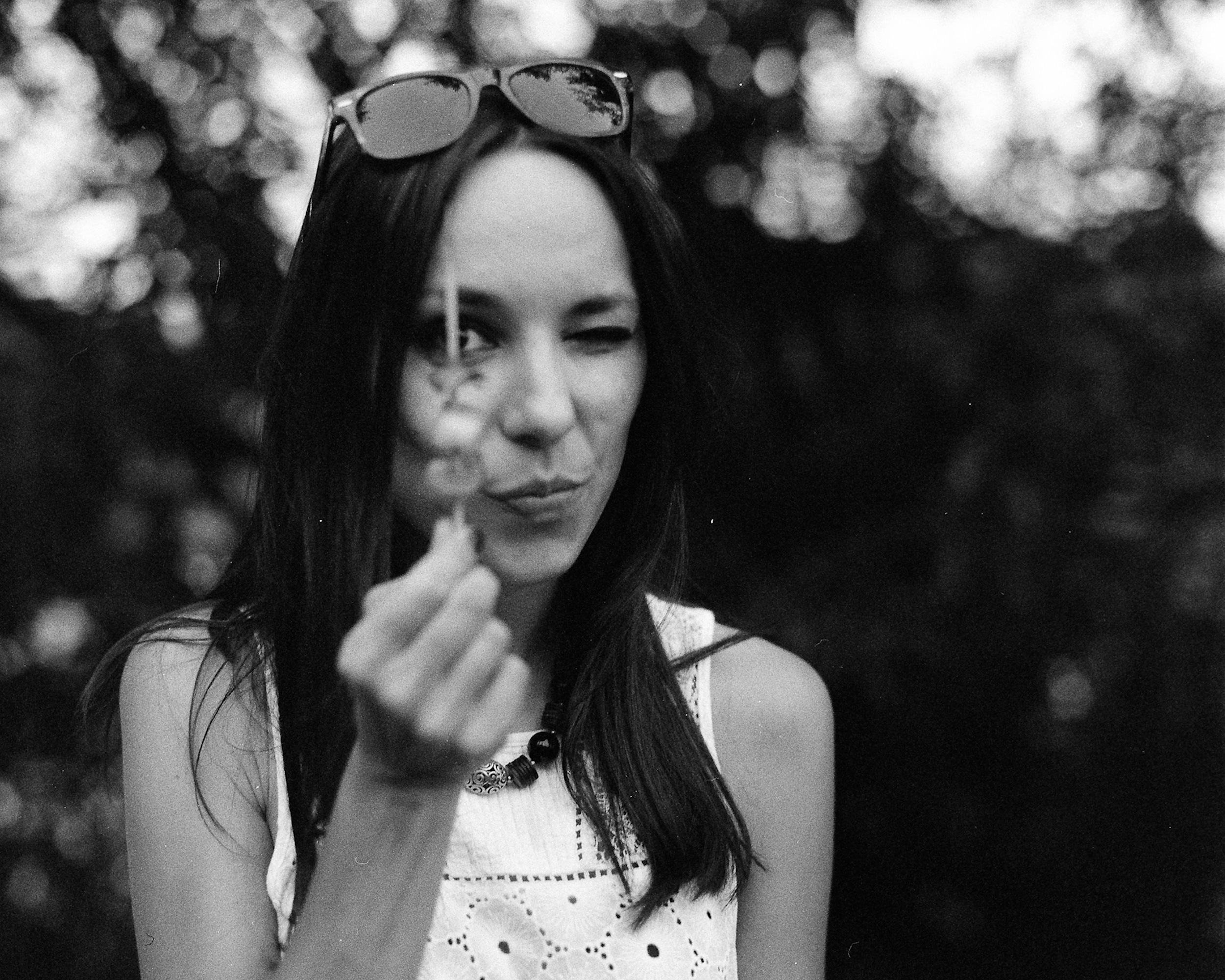 Dandelion Wish