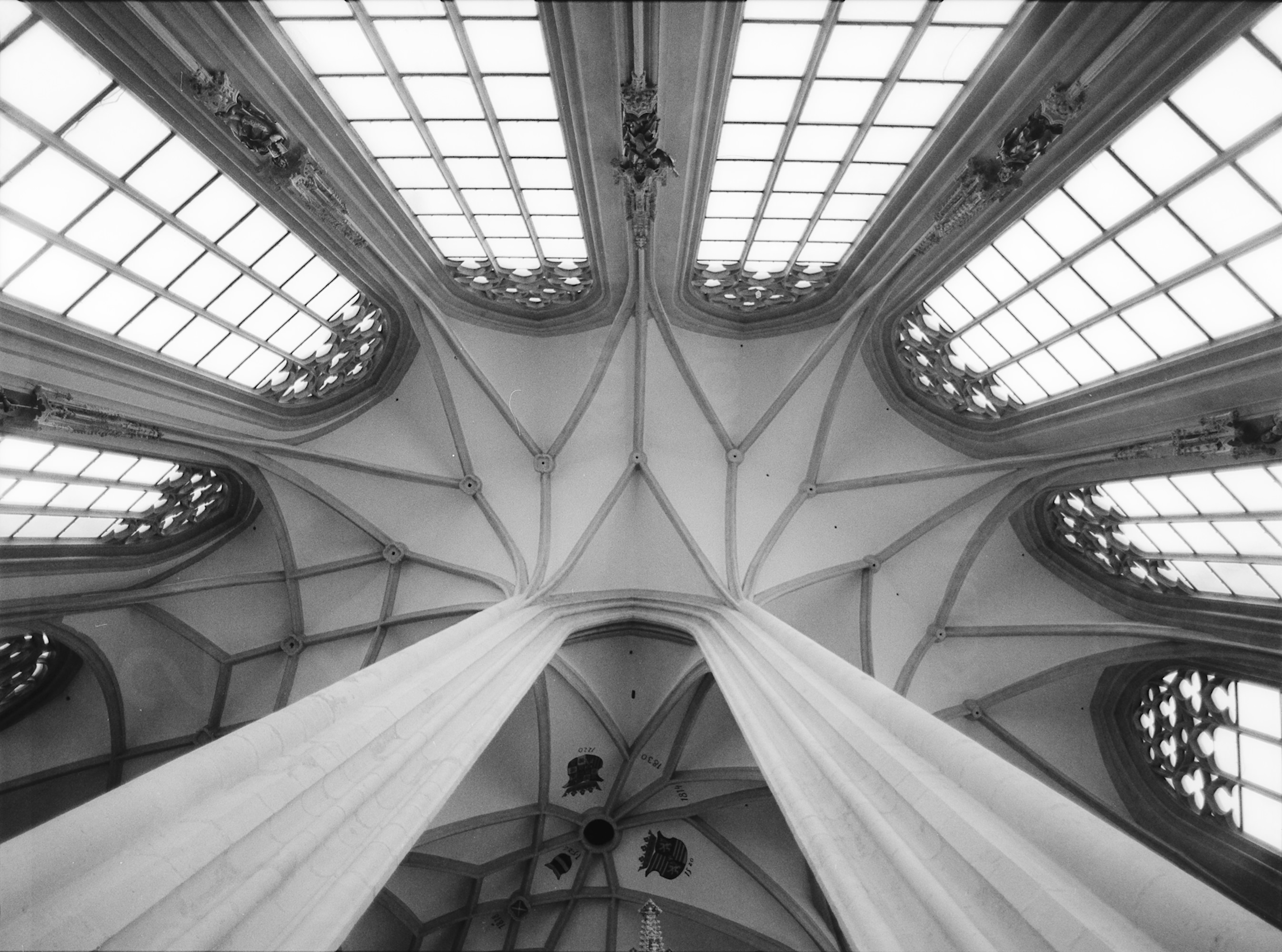 Vaulted Heavens